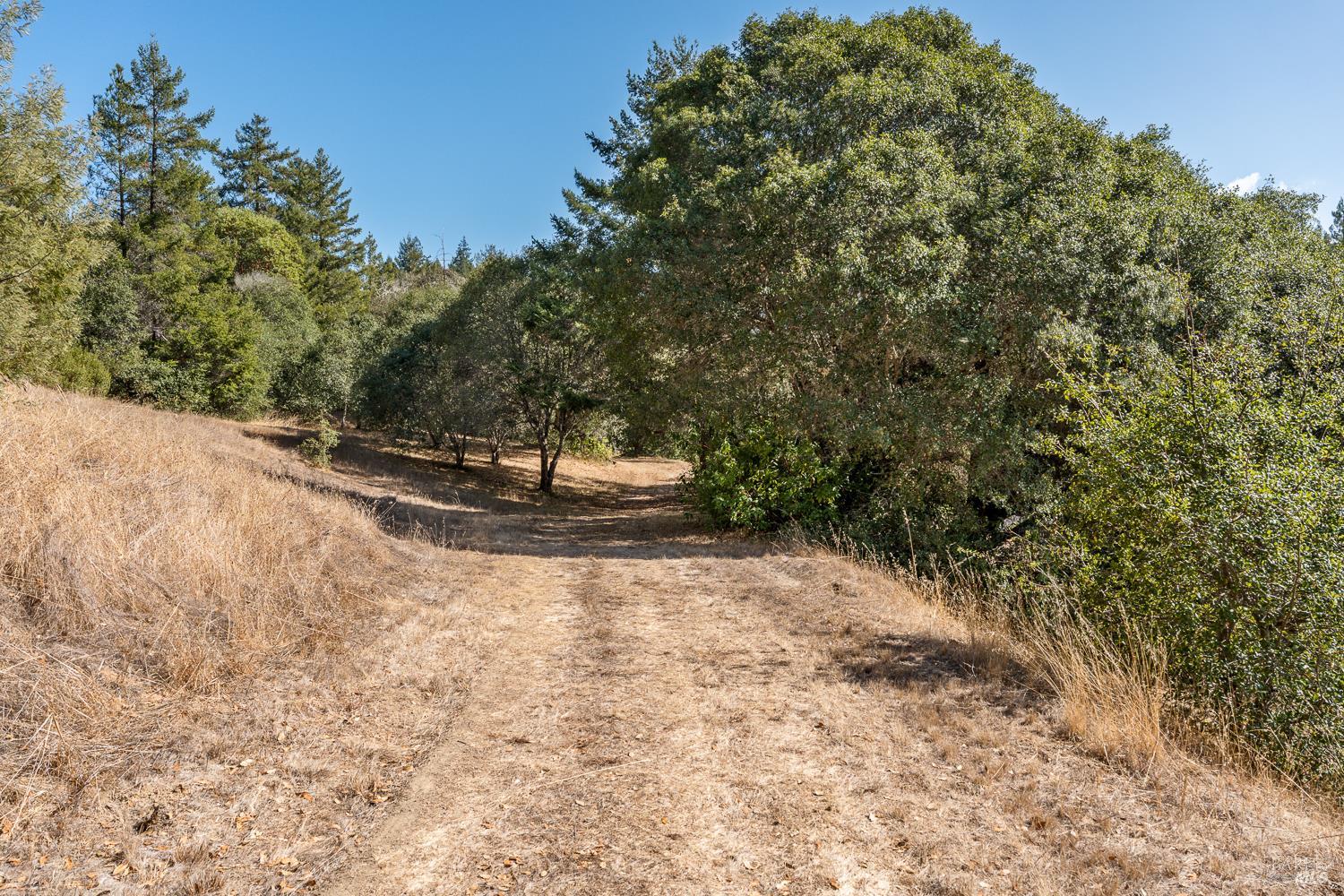 2151 Highway 128 Philo CA 95466