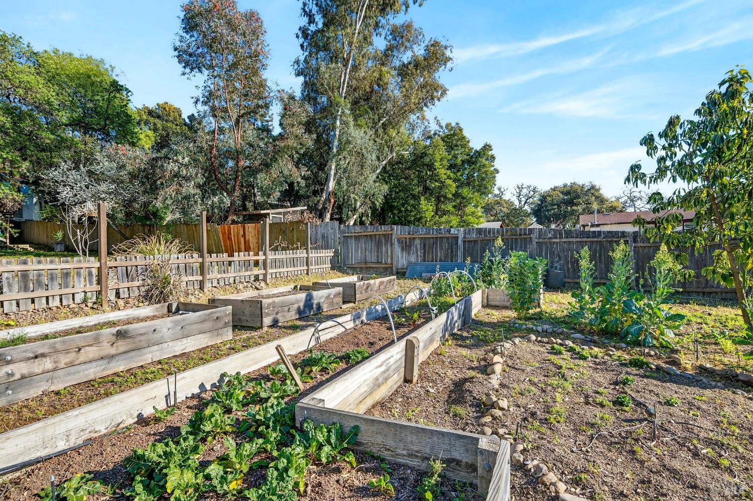 105 Hooker Avenue Sonoma CA 95476