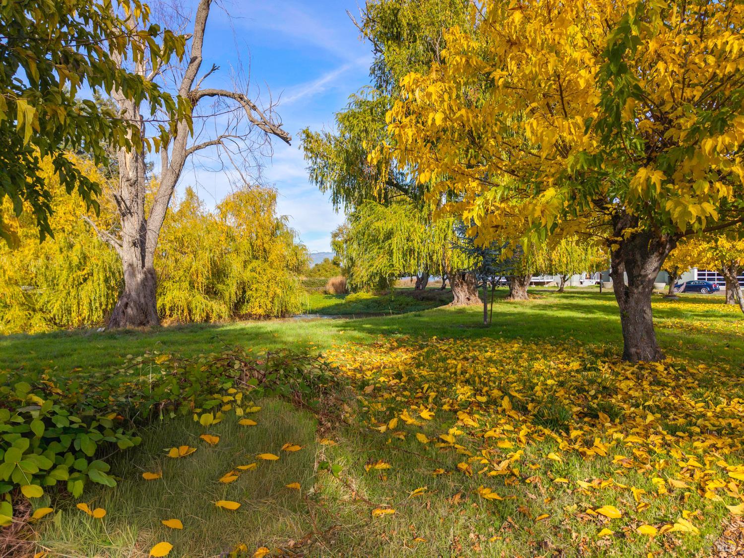 8 Queen Ann Way Lakeport CA 95453