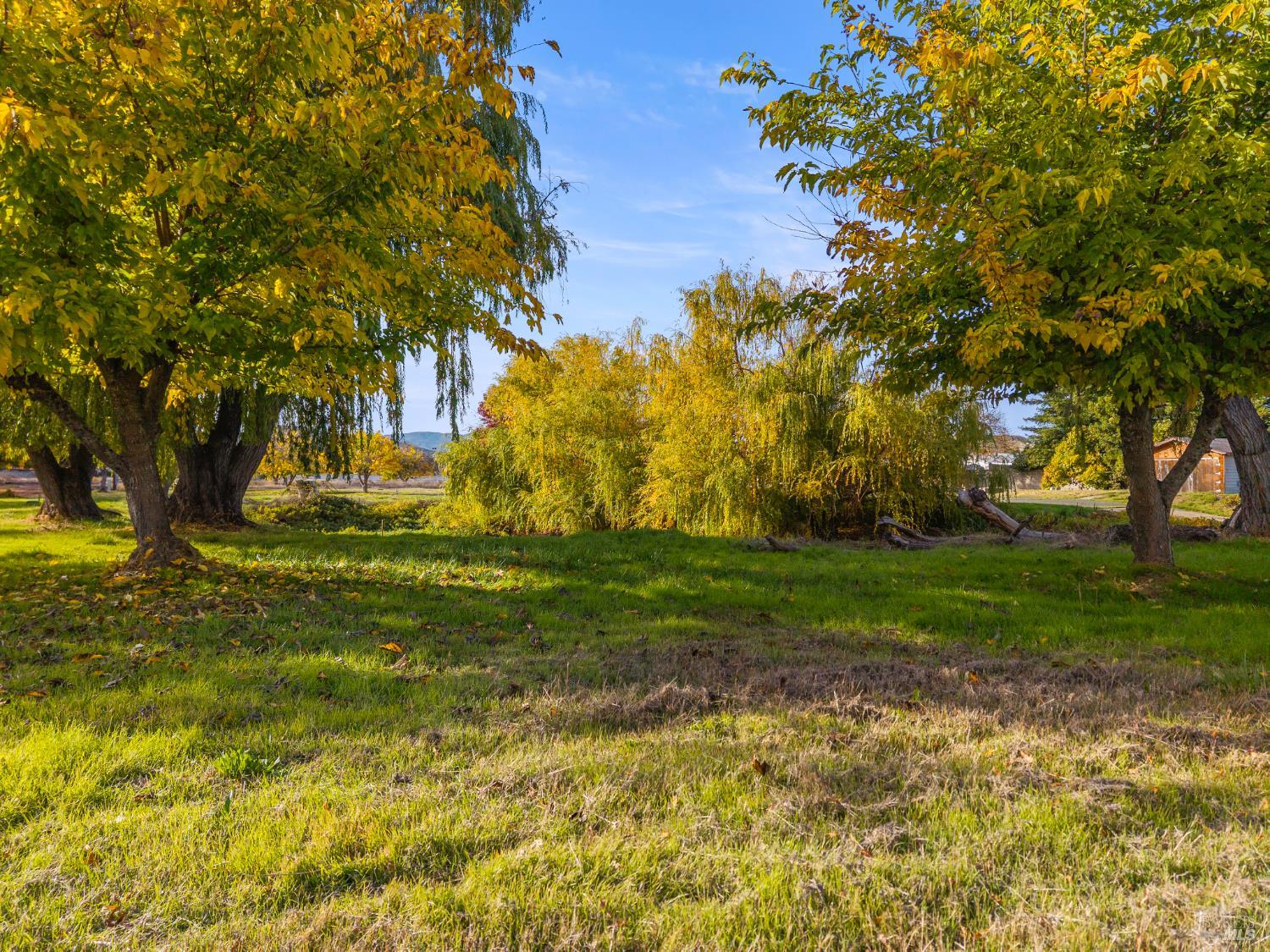8 Queen Ann Way Lakeport CA 95453