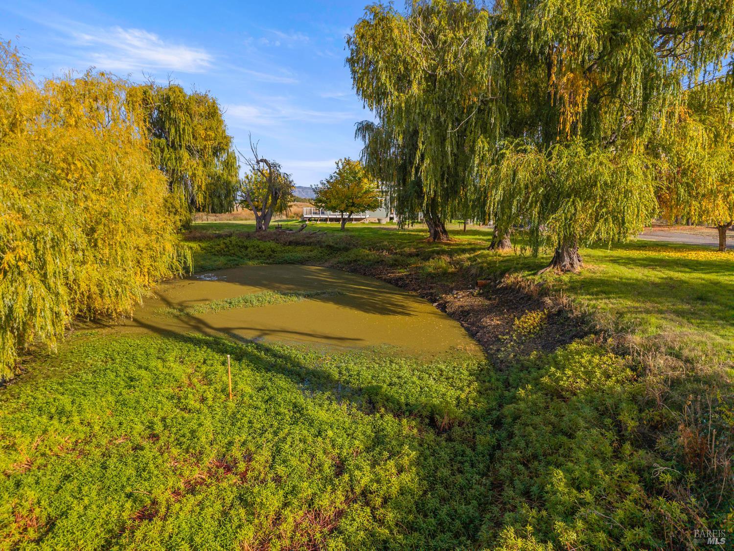 8 Queen Ann Way Lakeport CA 95453