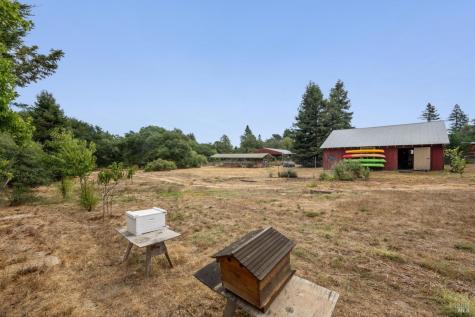 447 Sparkes Road Sebastopol CA 95472