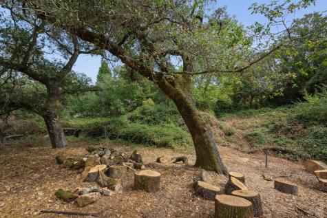 447 Sparkes Road Sebastopol CA 95472