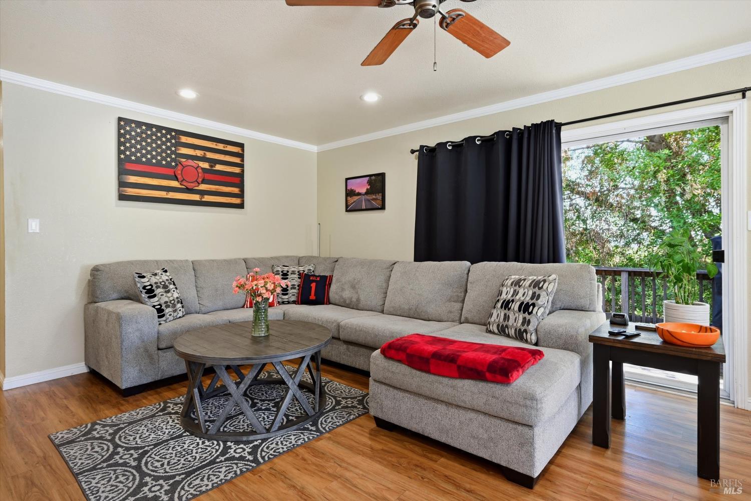 10306 Del Monte Way Kelseyville CA 95451
