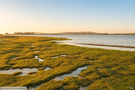 509 Smith Brothers Road Bodega Bay CA 94923