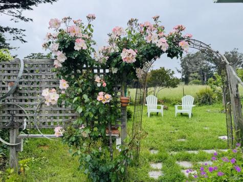 39 Carrie Street Tomales CA 94971