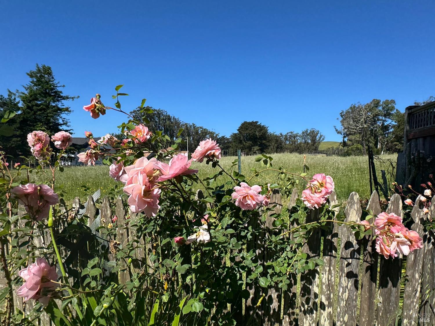 39 Carrie Street Tomales CA 94971