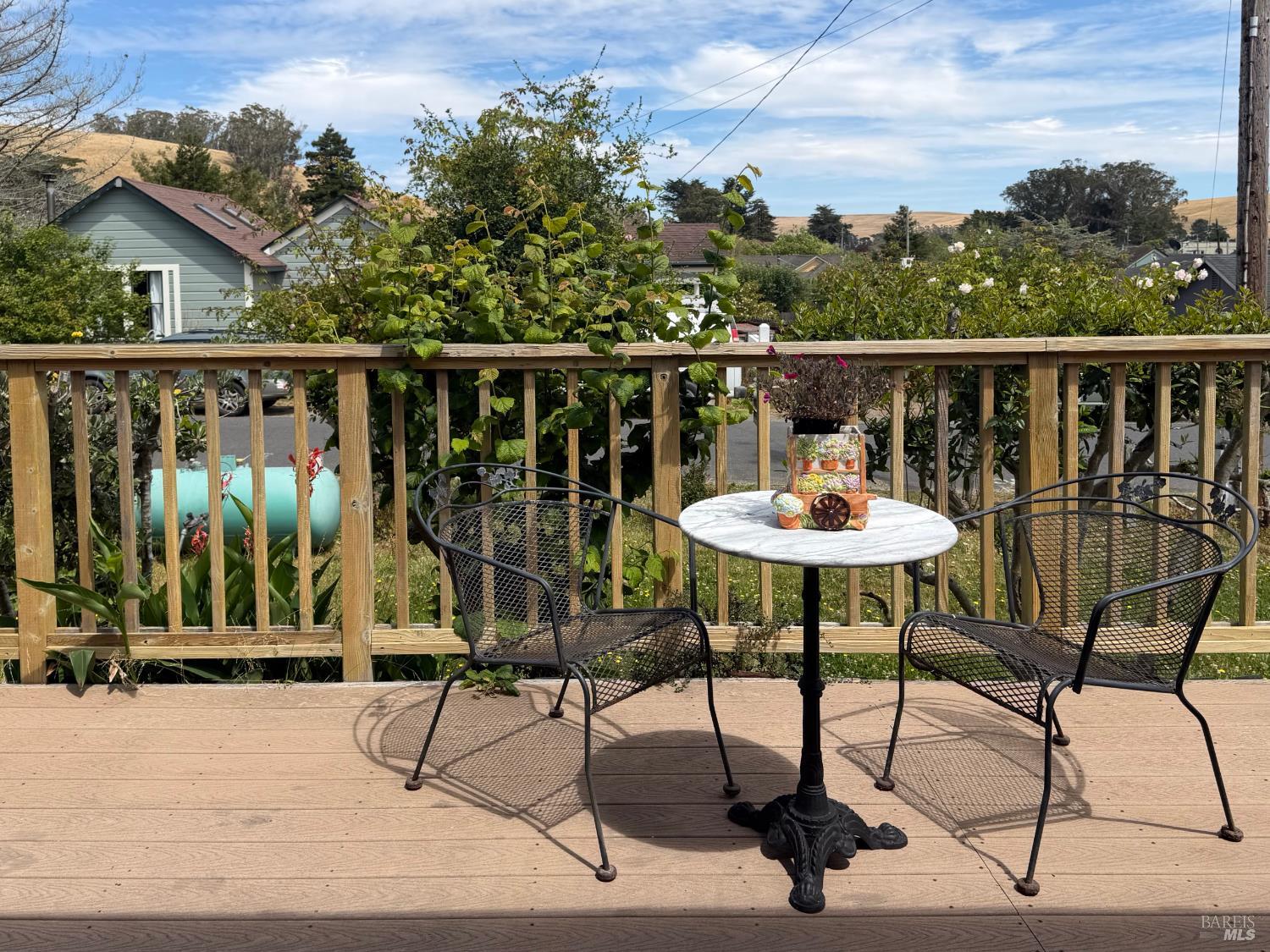 39 Carrie Street Tomales CA 94971