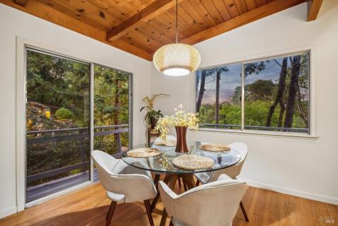 215 Bungalow Avenue San Rafael CA 94901