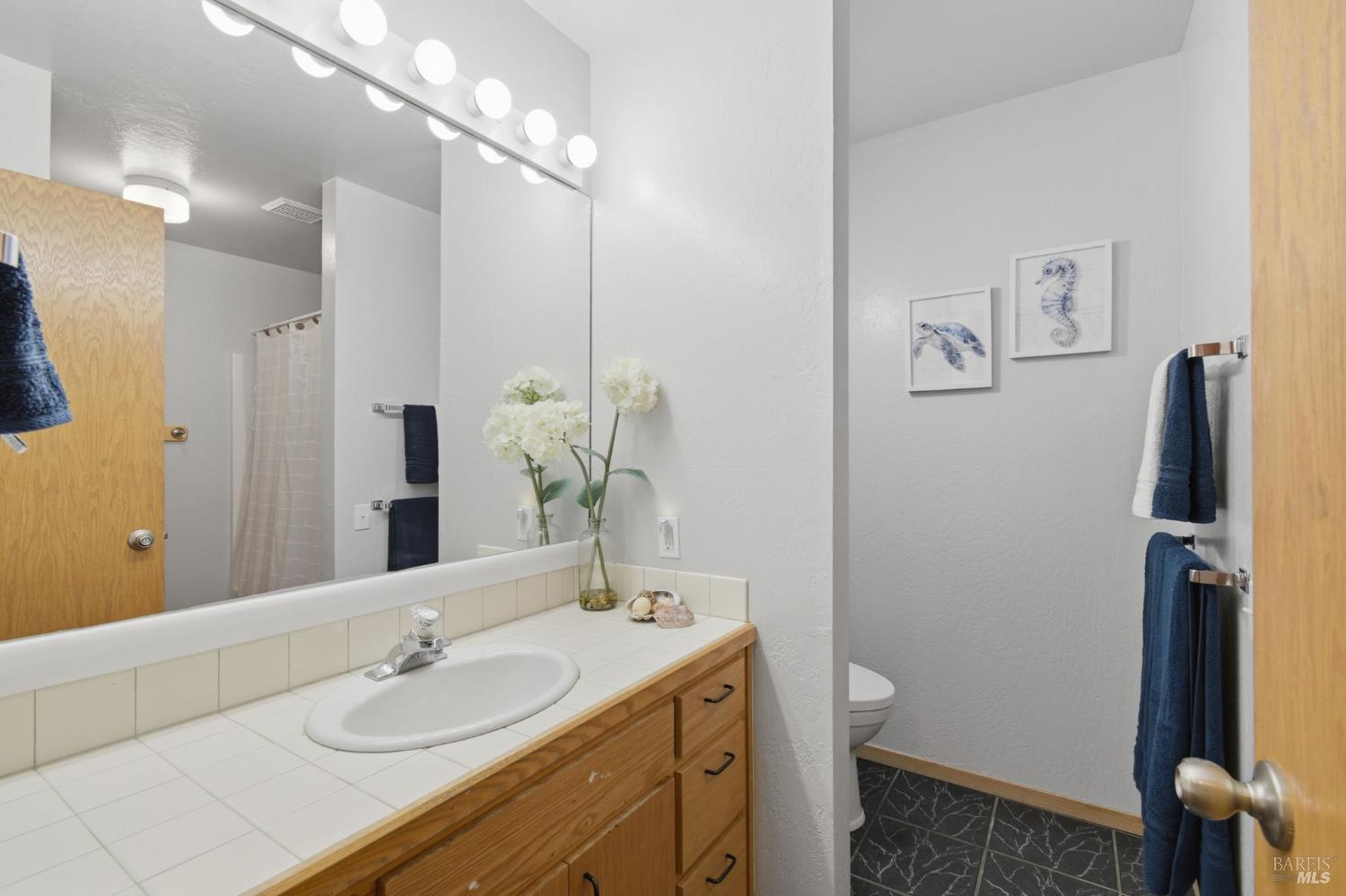 46801 Iversen Drive Gualala CA 95445