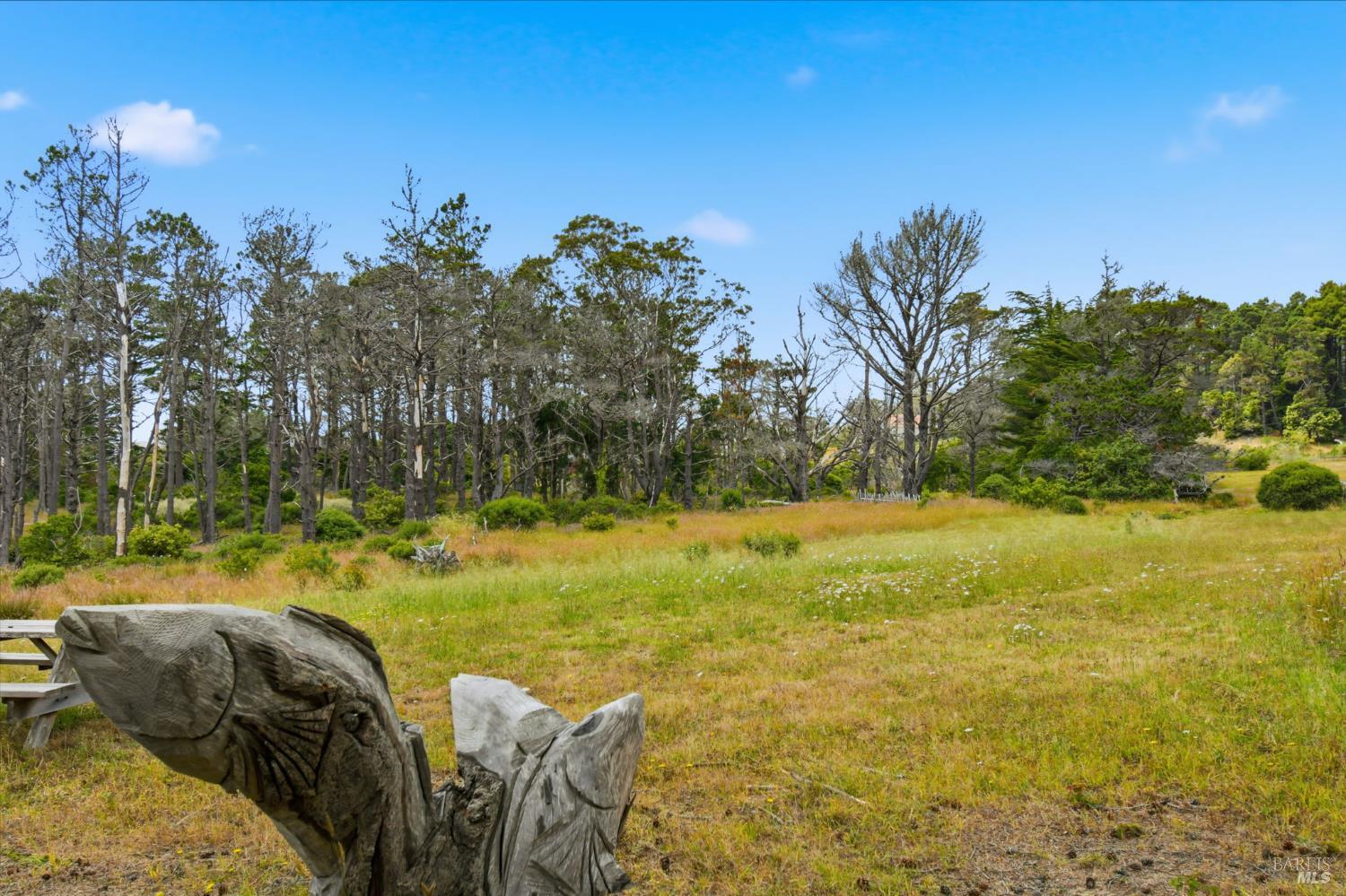 46801 Iversen Drive Gualala CA 95445
