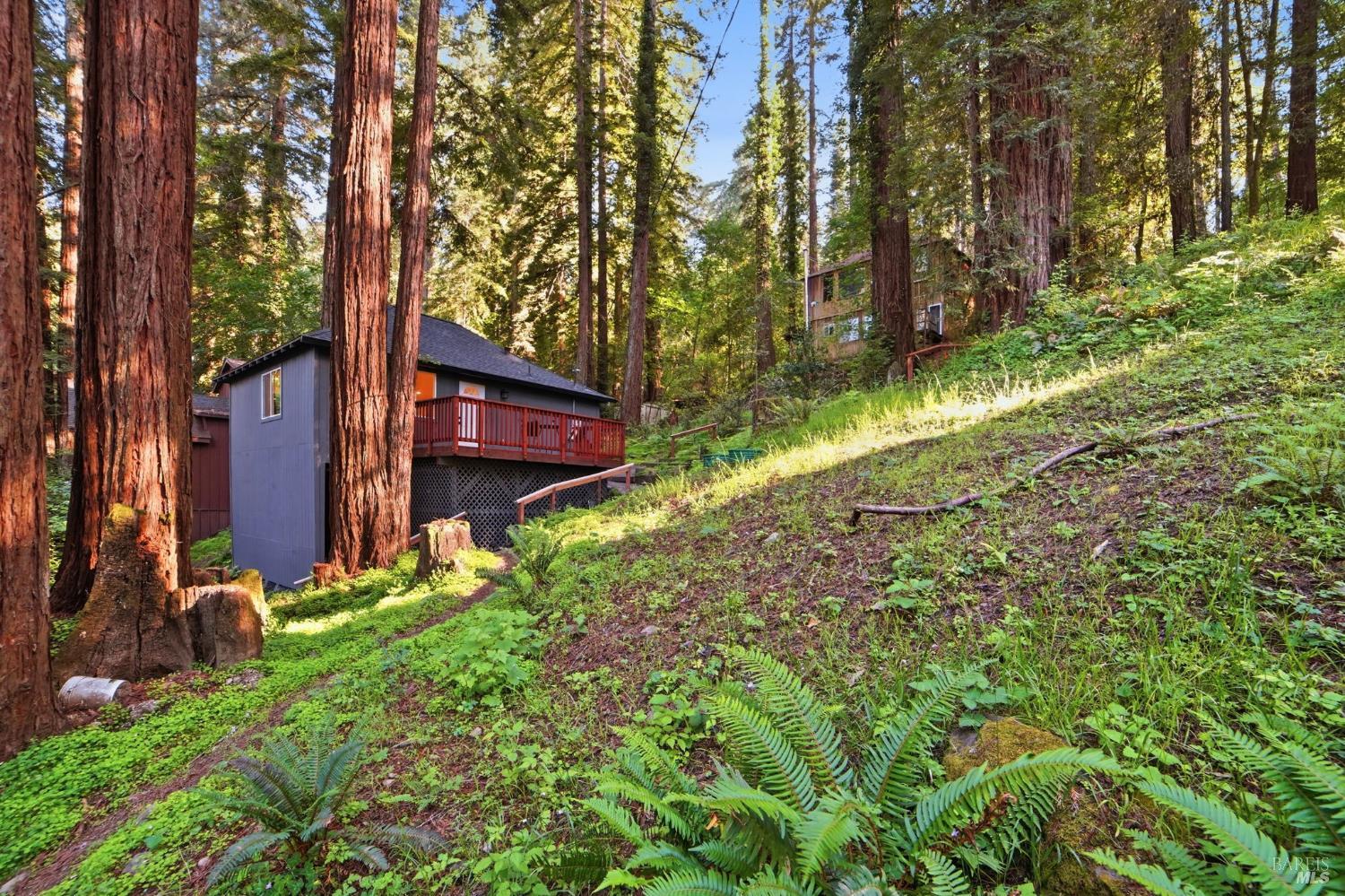 55 Van Ness Avenue Camp Meeker CA 95419
