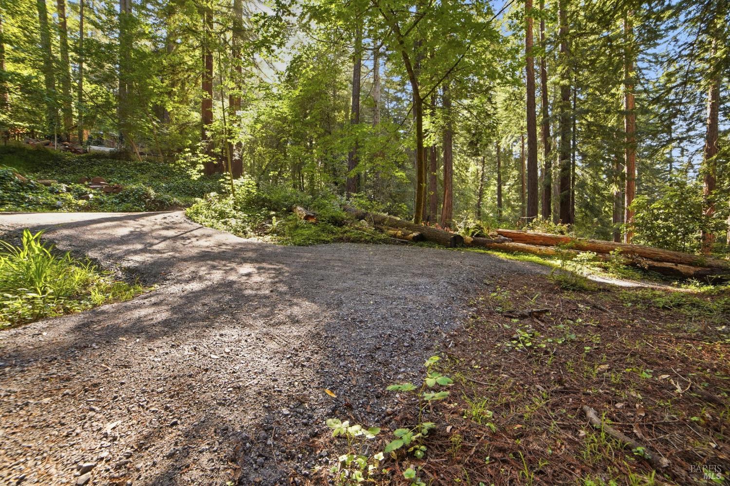 55 Van Ness Avenue Camp Meeker CA 95419