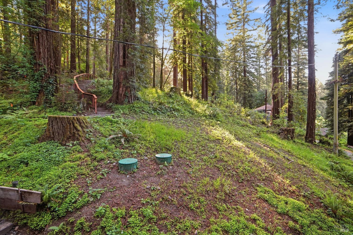 55 Van Ness Avenue Camp Meeker CA 95419