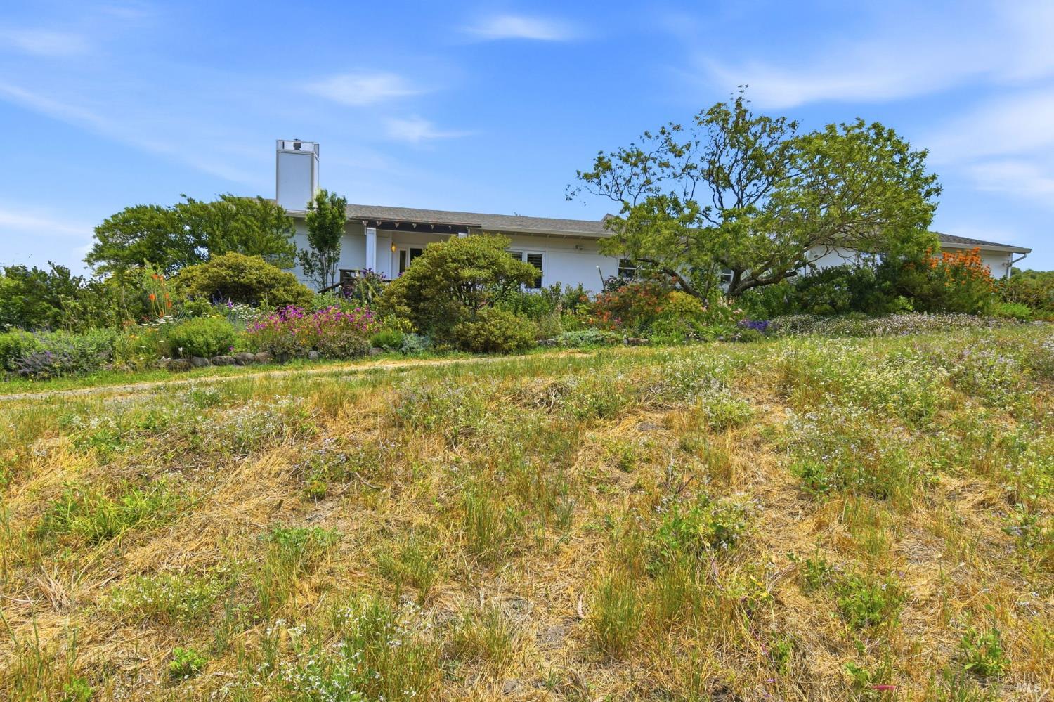 3223 Canfield Road Sebastopol CA 95472