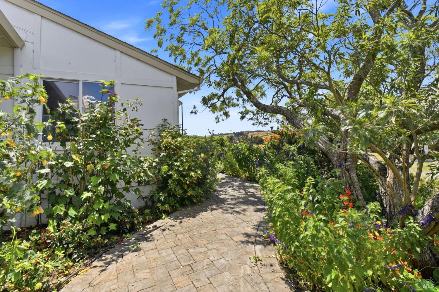 3223 Canfield Road Sebastopol CA 95472