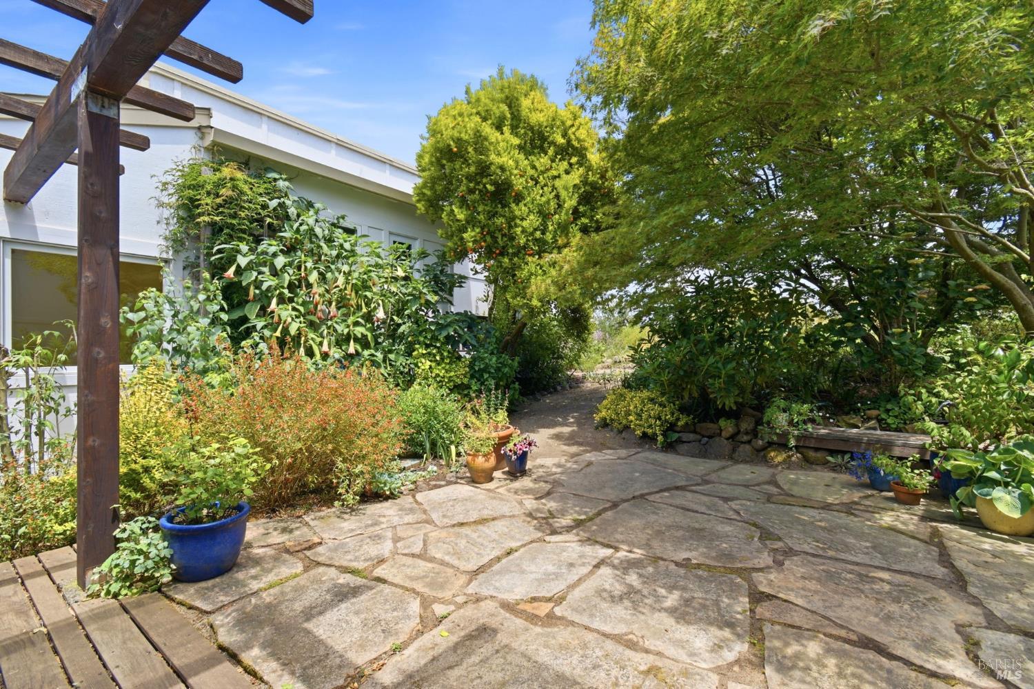 3223 Canfield Road Sebastopol CA 95472