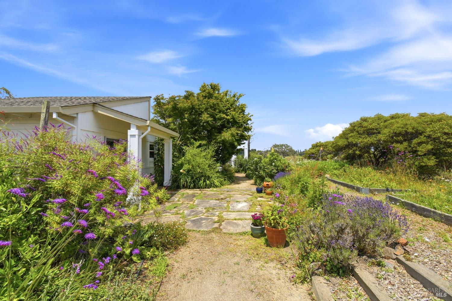 3223 Canfield Road Sebastopol CA 95472