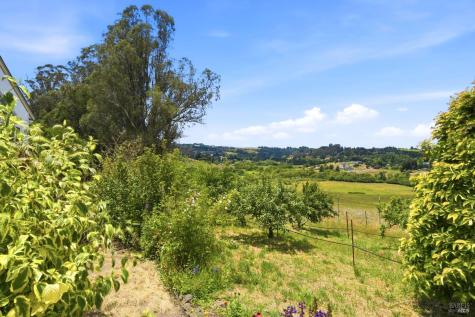 3223 Canfield Road Sebastopol CA 95472