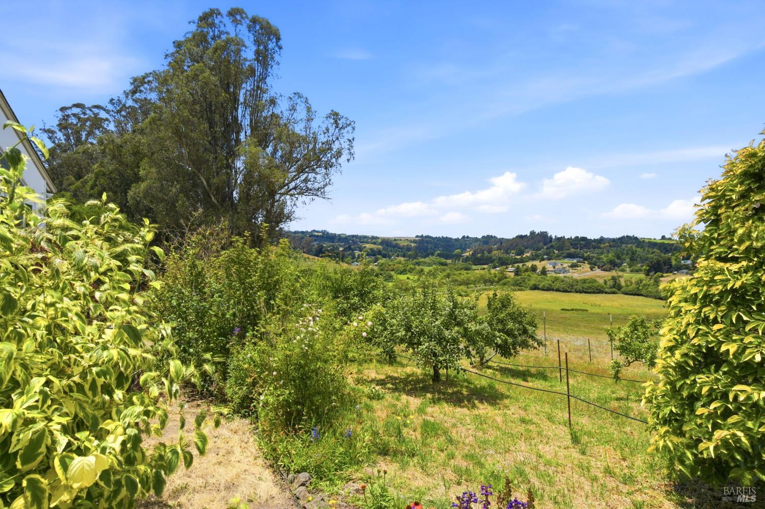 3223 Canfield Road Sebastopol CA 95472