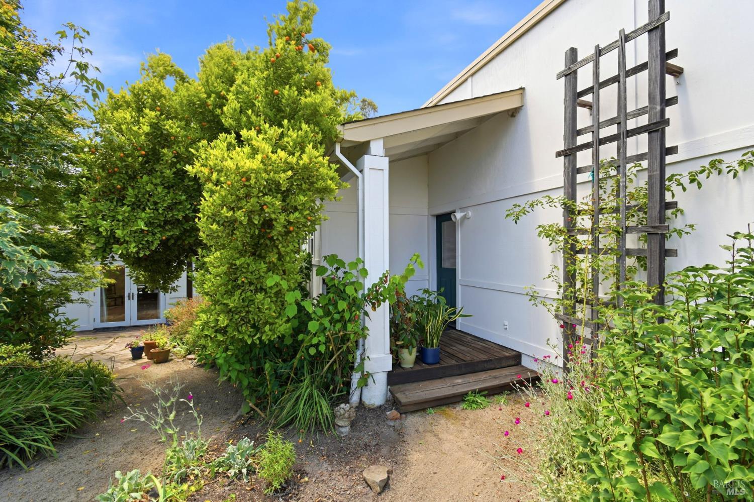 3223 Canfield Road Sebastopol CA 95472