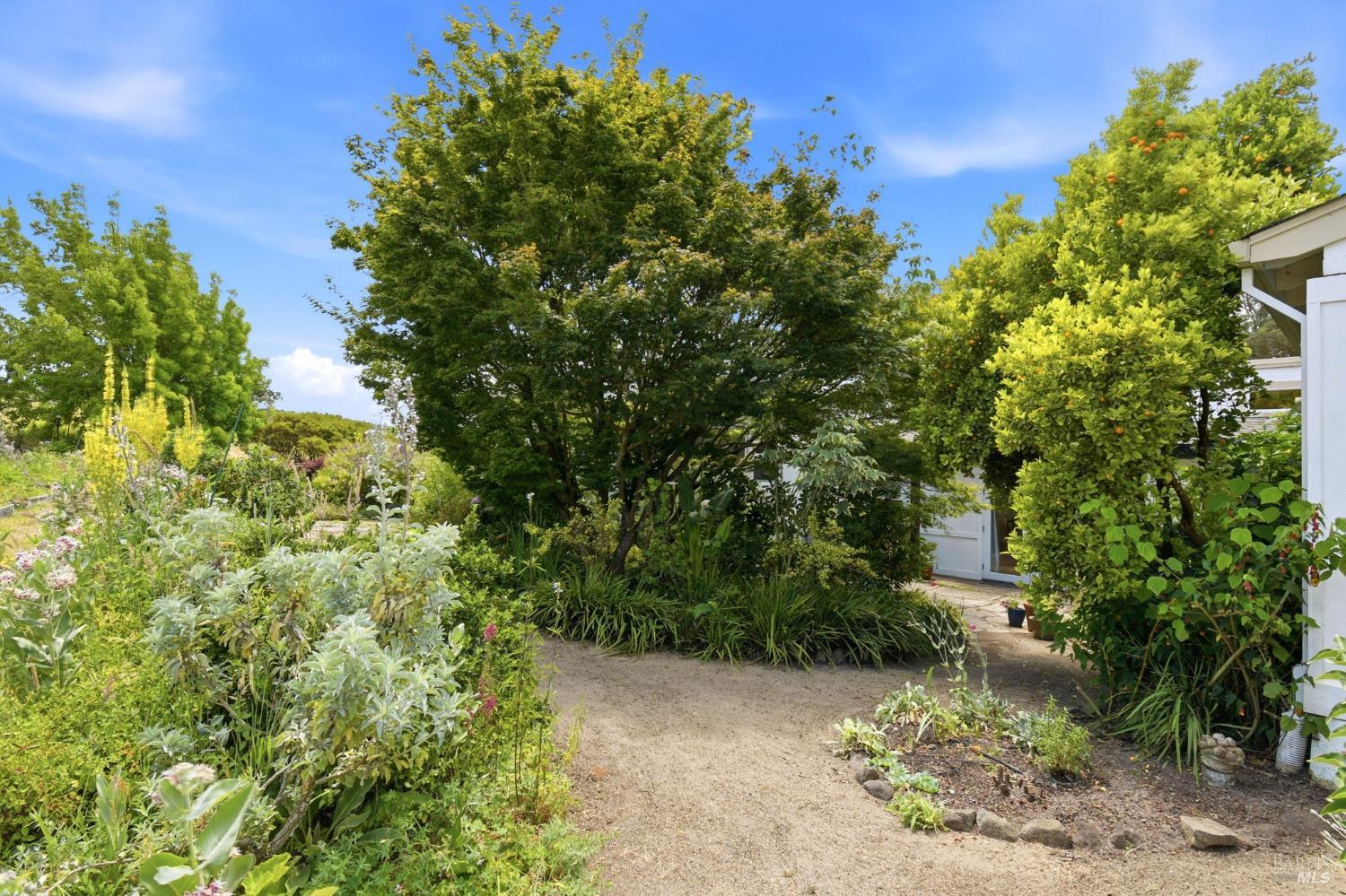 3223 Canfield Road Sebastopol CA 95472