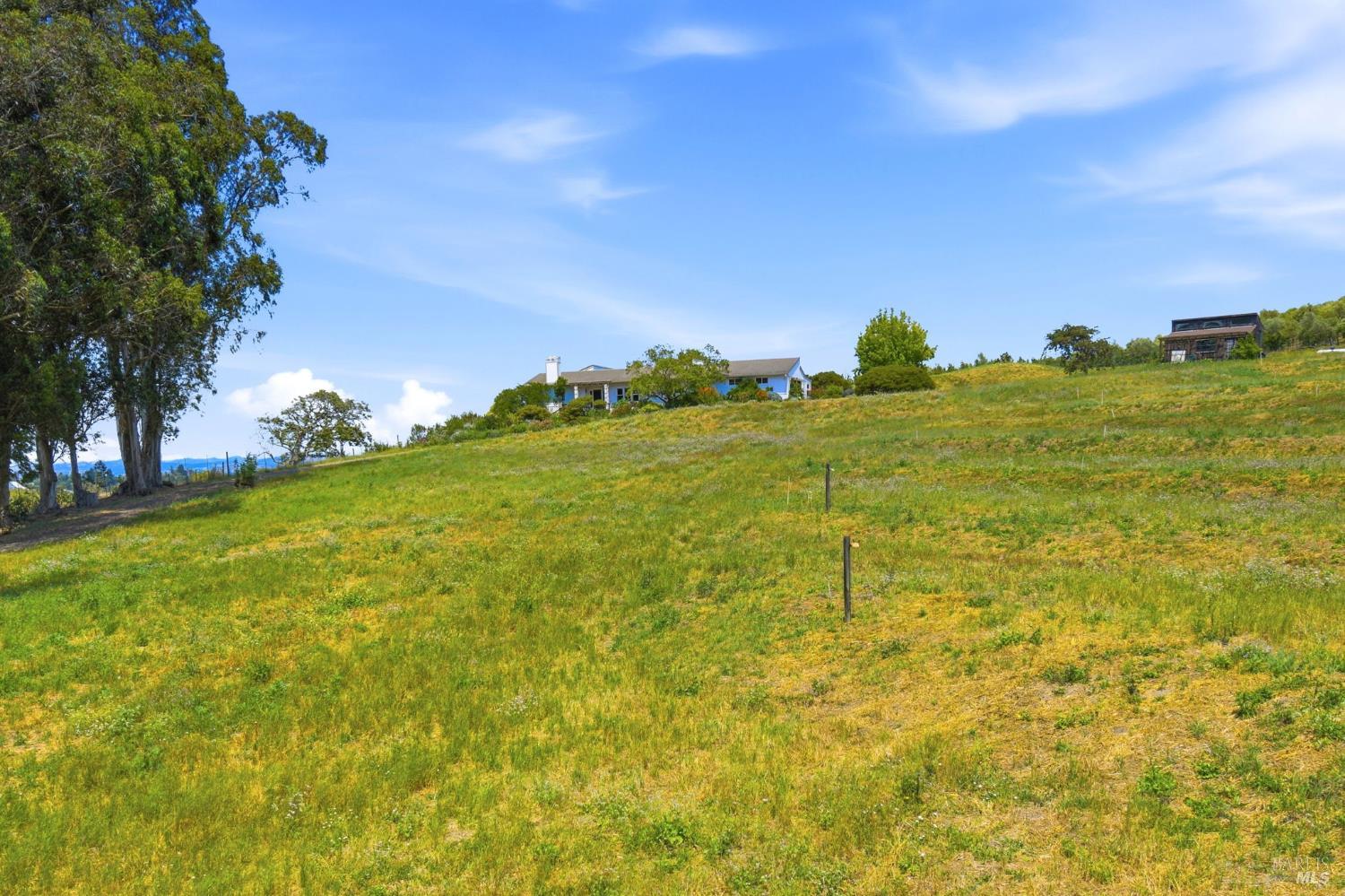 3223 Canfield Road Sebastopol CA 95472