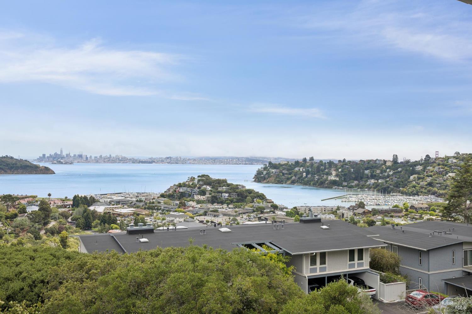 100 Red Hill Circle Belvedere Tiburon CA 94920