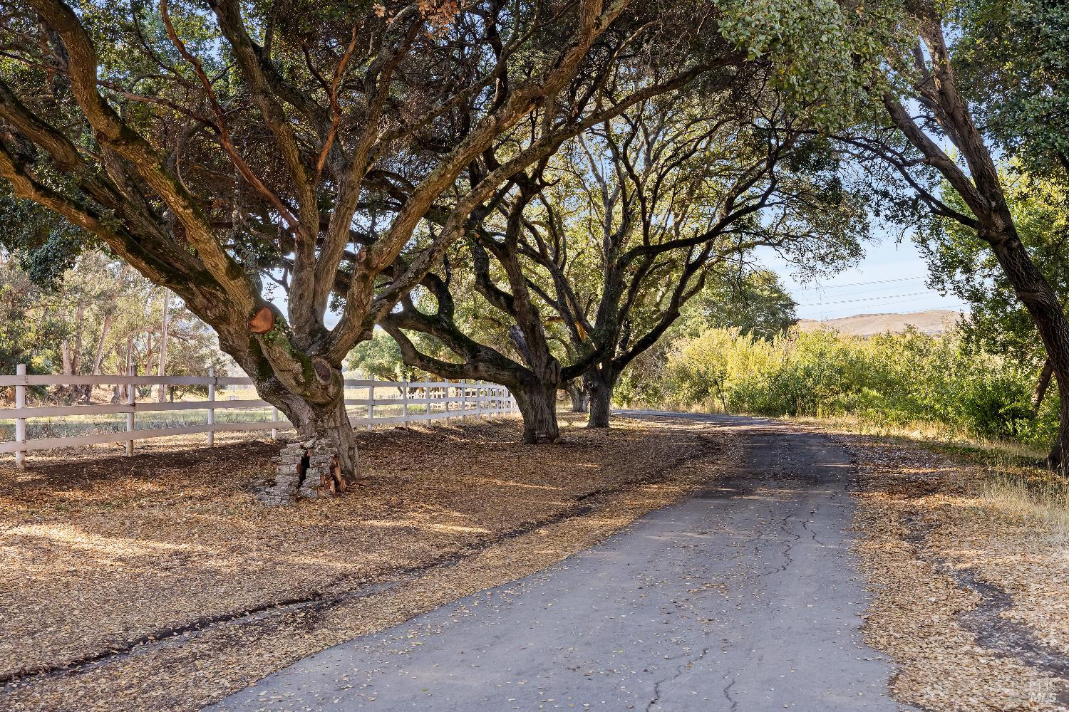 2000 Mcgary Road American Canyon CA 94591
