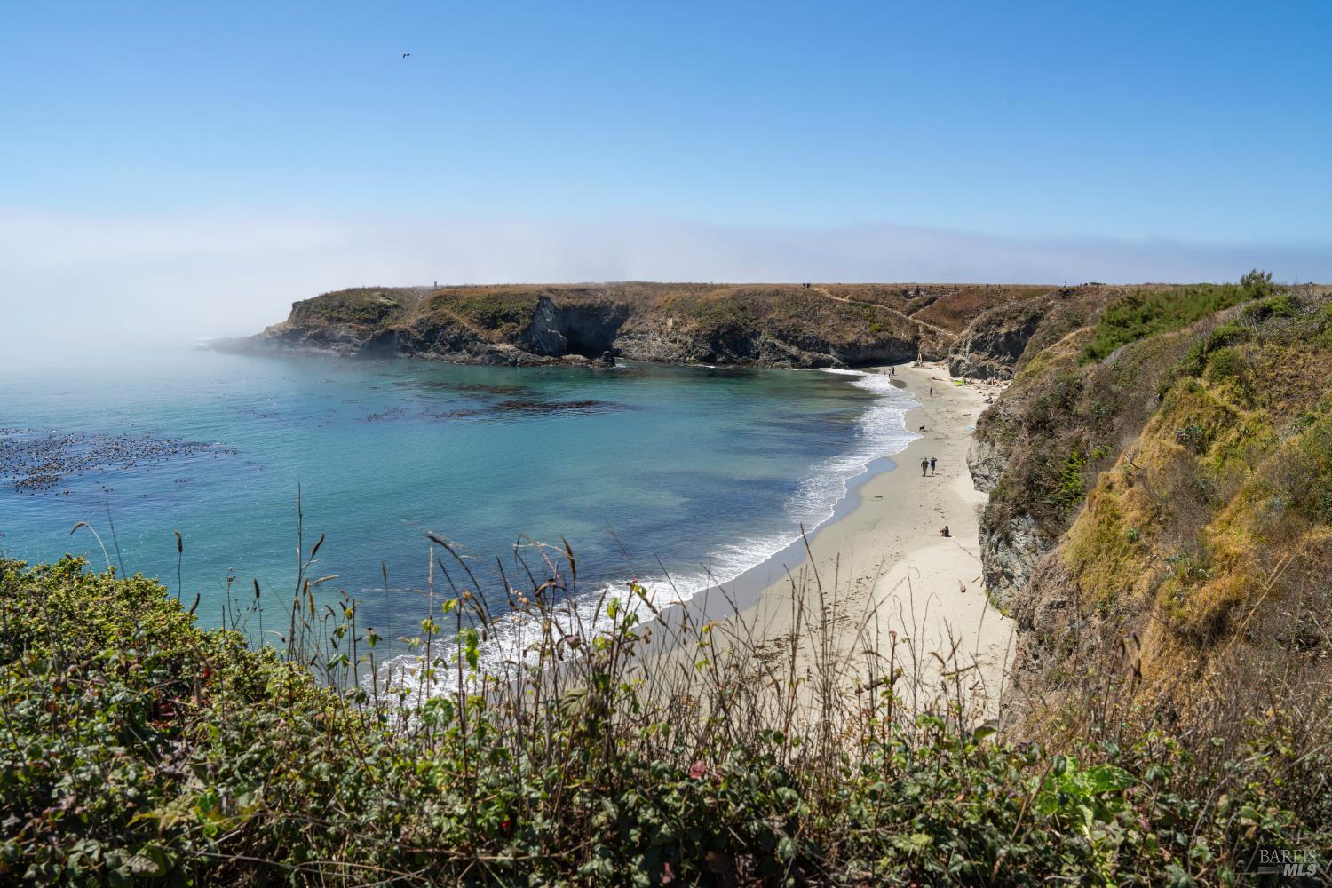 Albion CA 95410
