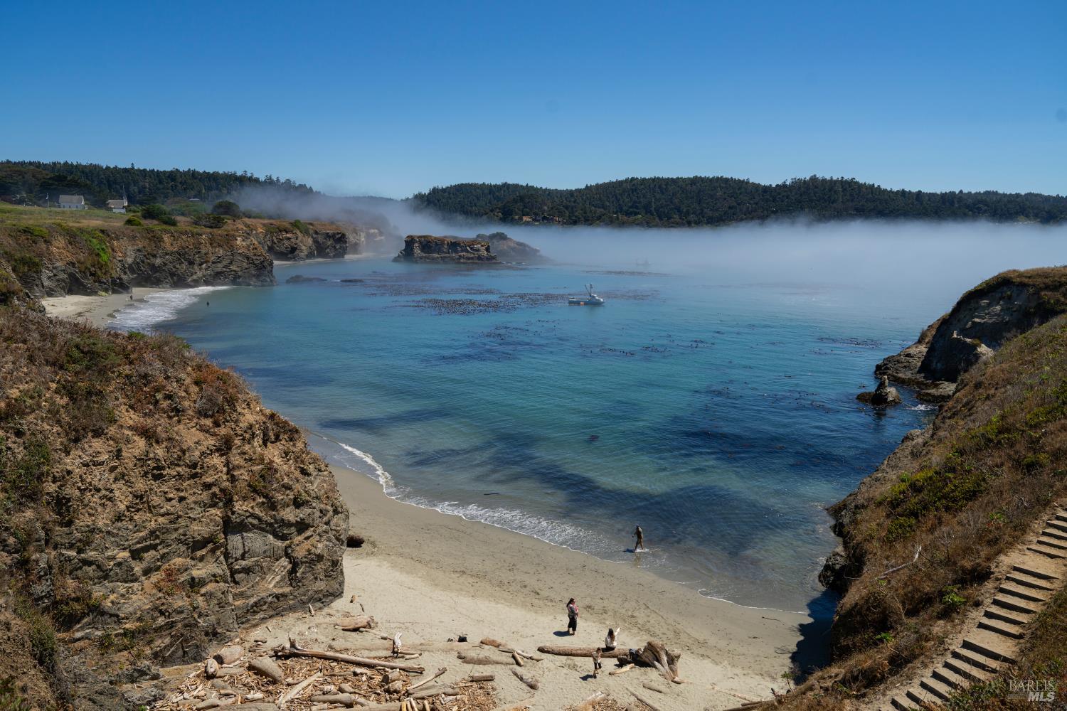Albion CA 95410