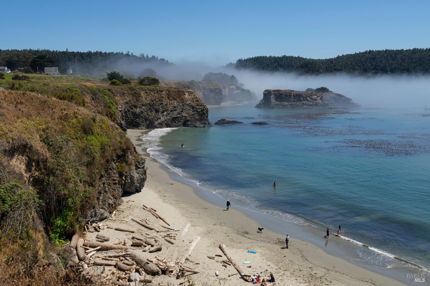 Albion CA 95410
