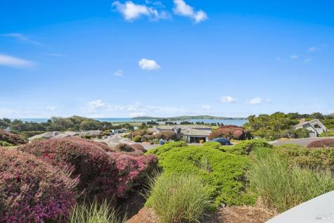 141 Cypress Loop Bodega Bay CA 94923