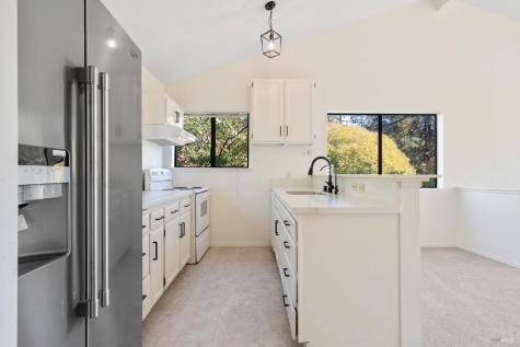 171 Glen Park Avenue San Rafael CA 94901