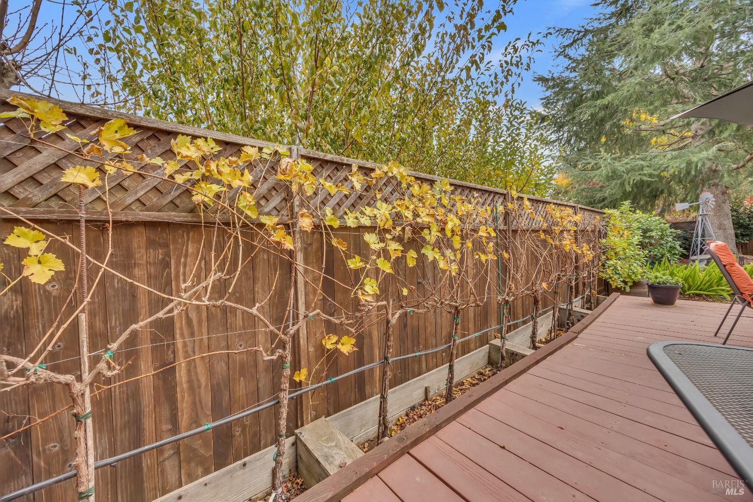 14 Clement Court Napa CA 94558