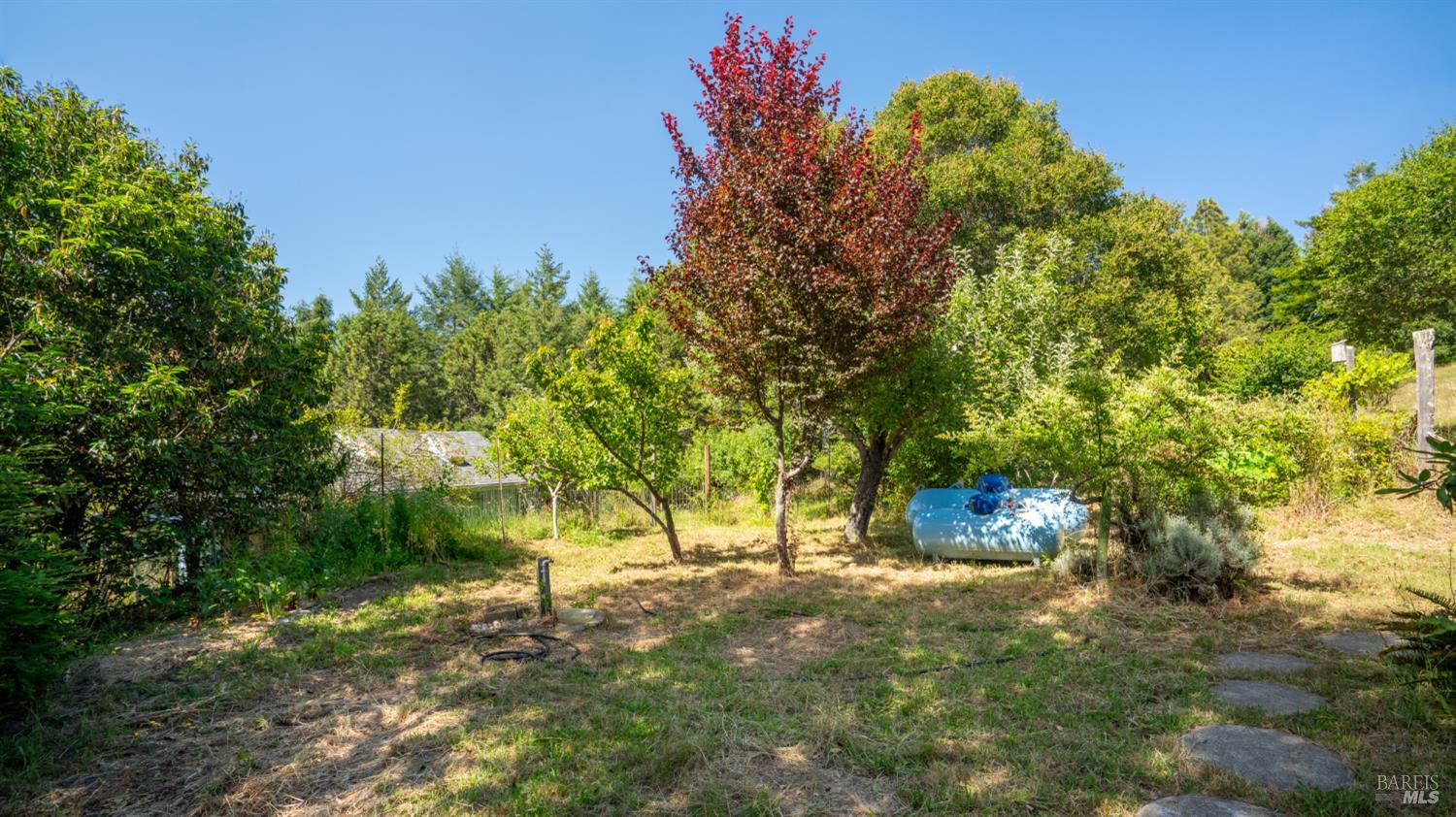 1187 Tannery Creek Road Bodega CA 94922