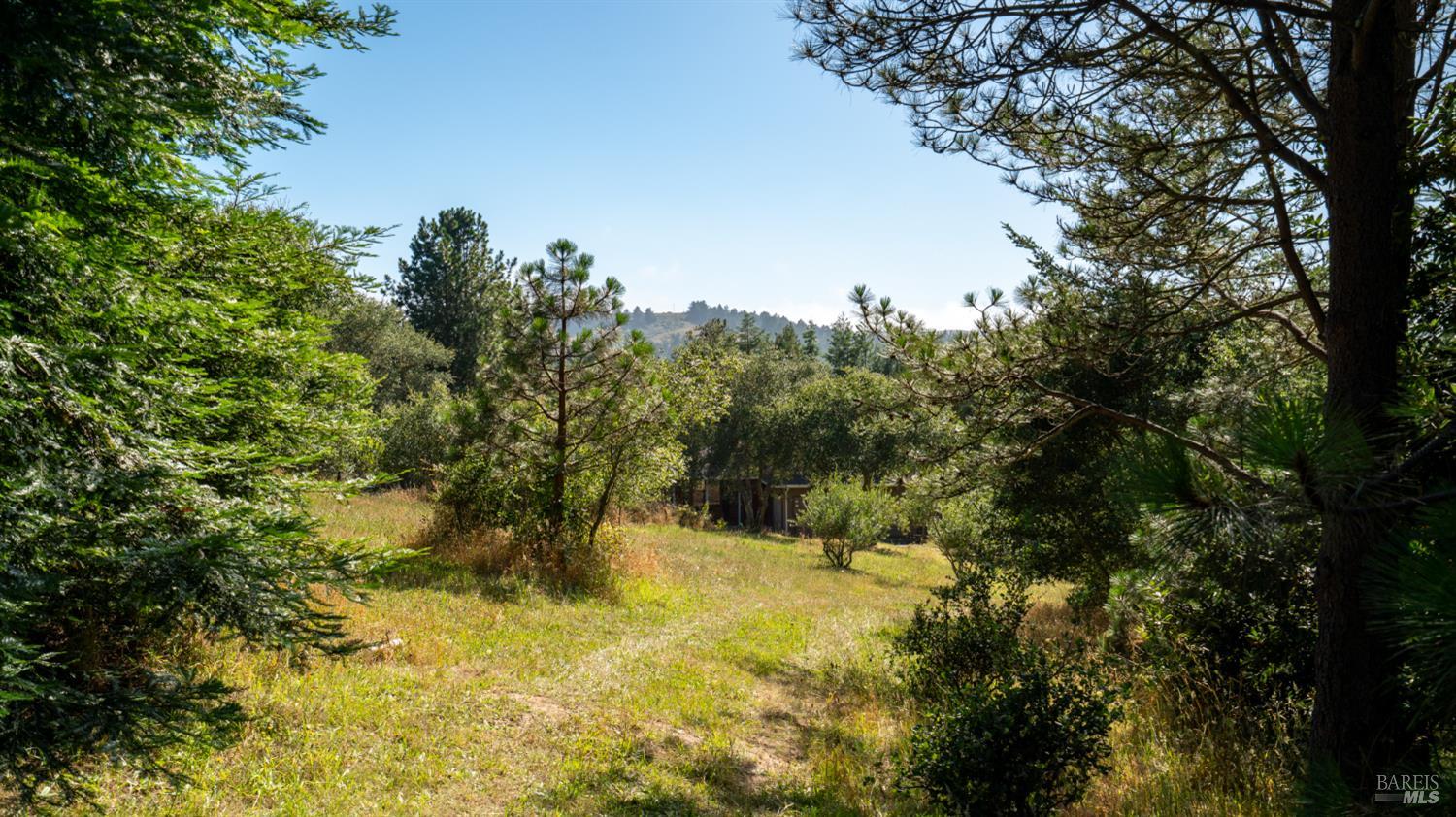 1187 Tannery Creek Road Bodega CA 94922