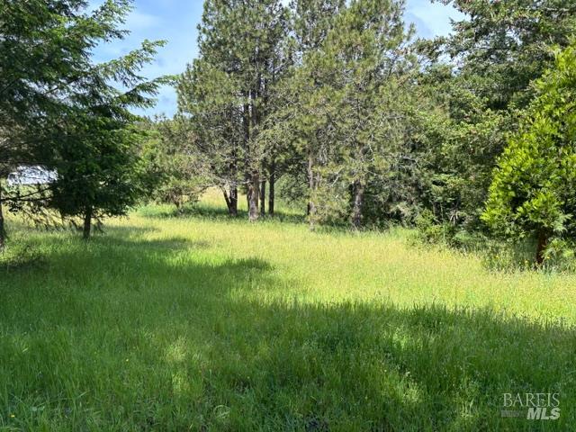 1187 Tannery Creek Road Bodega CA 94922