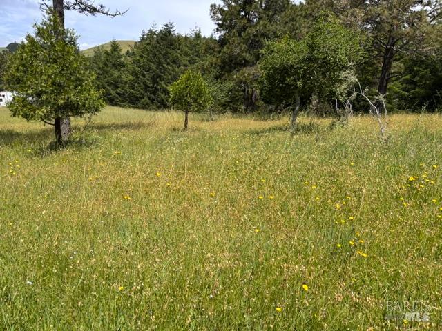 1187 Tannery Creek Road Bodega CA 94922