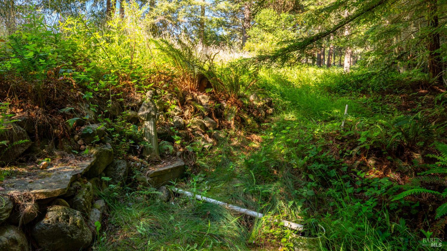 1187 Tannery Creek Road Bodega CA 94922