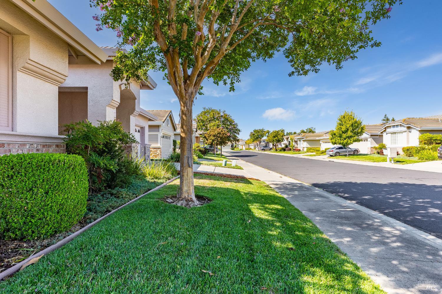 155 Bounty Lane Vacaville CA 95687