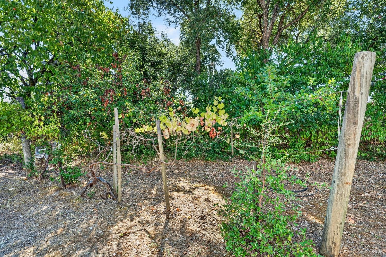 910 S Cloverdale Boulevard Cloverdale CA 95425