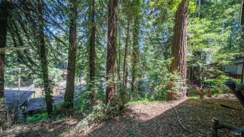 14708 Eagle Nest Lane Guerneville CA 95446