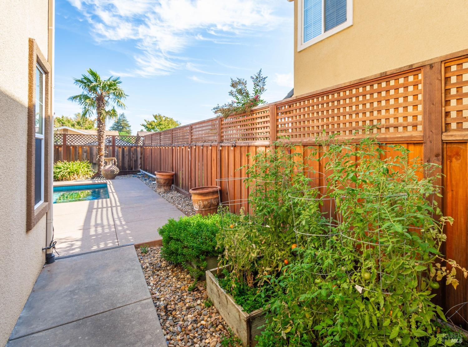 4436 Morse Court Napa CA 94558