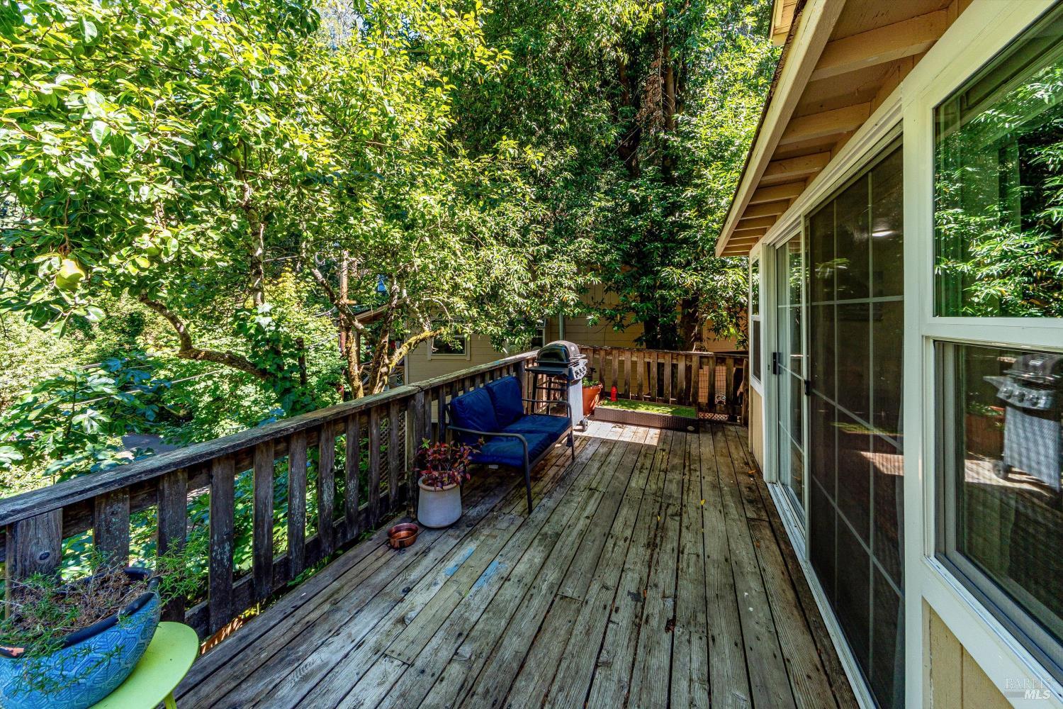 28 Mcclure Avenue Occidental CA 95419