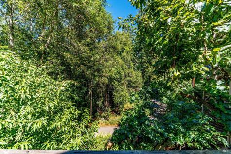 28 Mcclure Avenue Occidental CA 95419