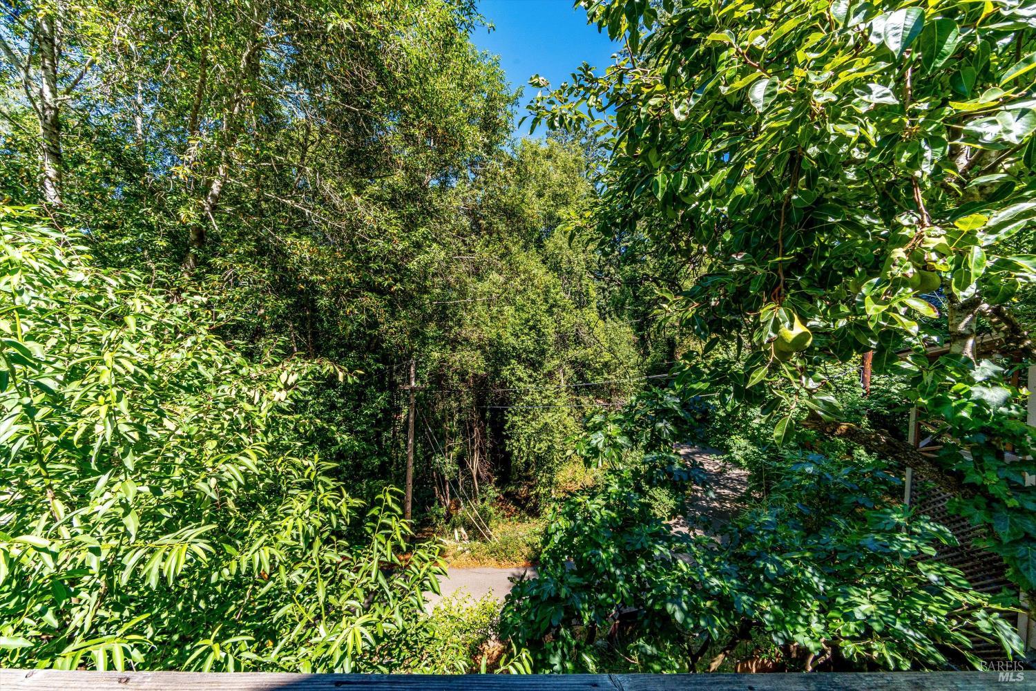 28 Mcclure Avenue Occidental CA 95419