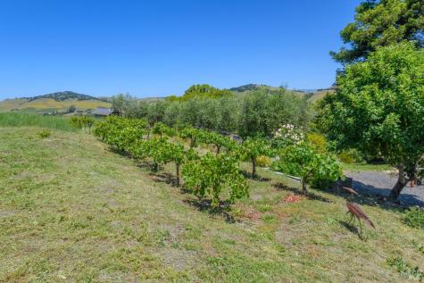1345 San Antonio Road Petaluma CA 94952