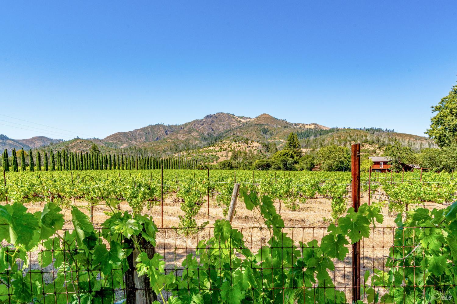 8021 Sonoma Highway Santa Rosa CA 95409