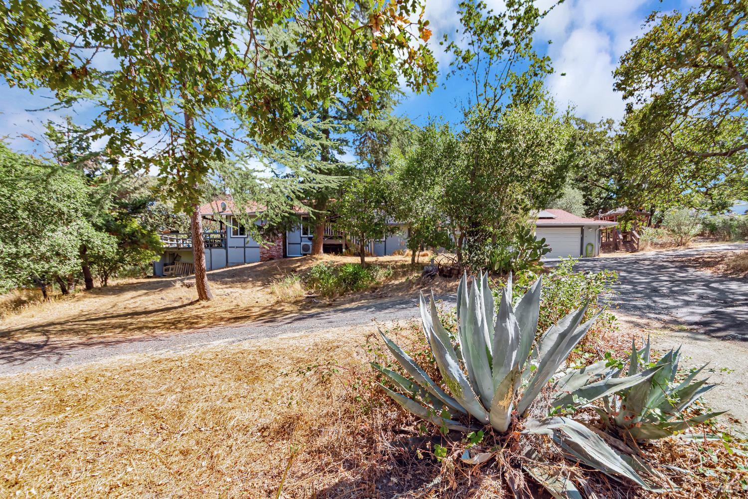 3954 Holland Drive Santa Rosa CA 95404